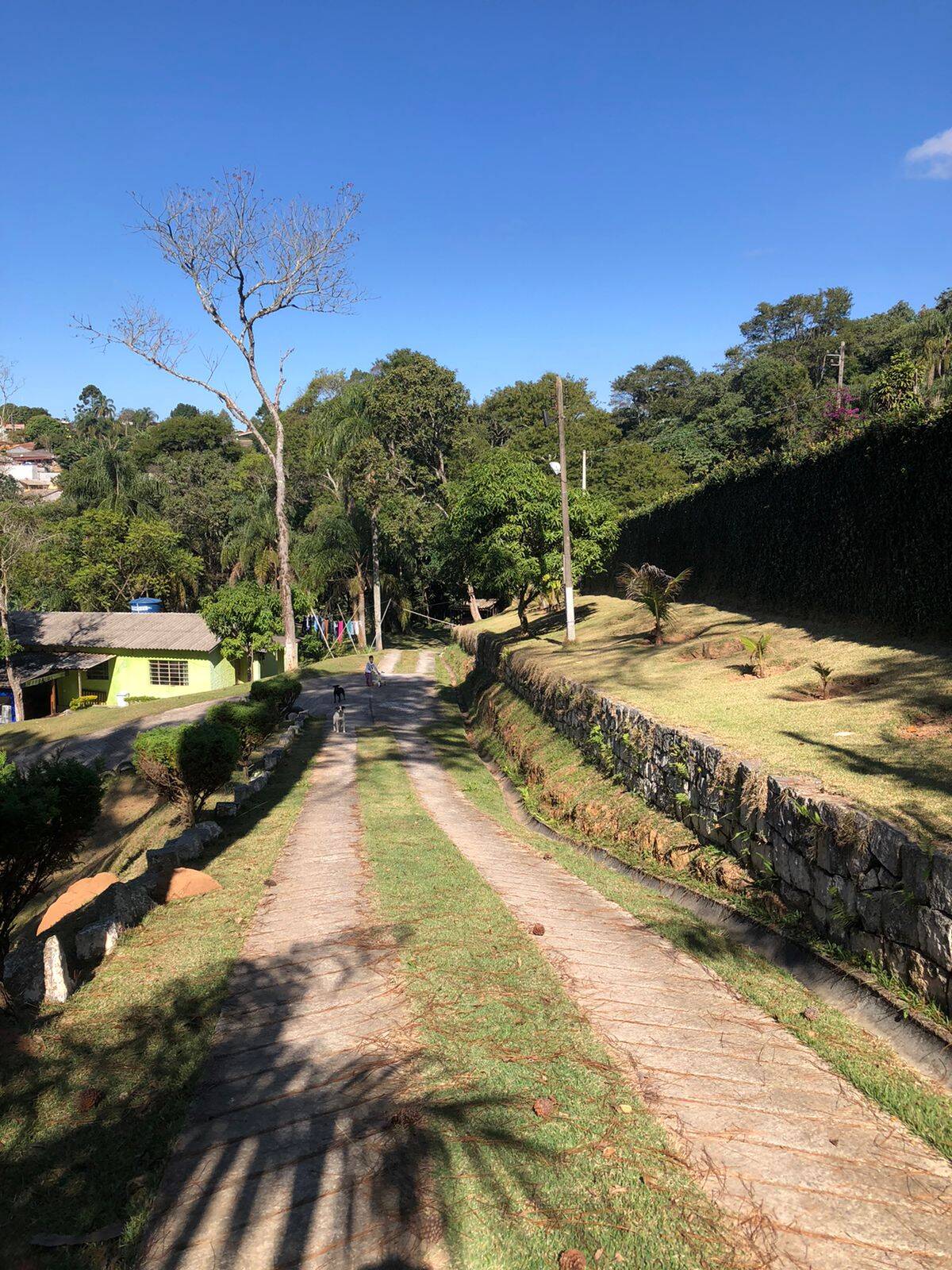 Fazenda à venda com 5 quartos, 14600m² - Foto 2