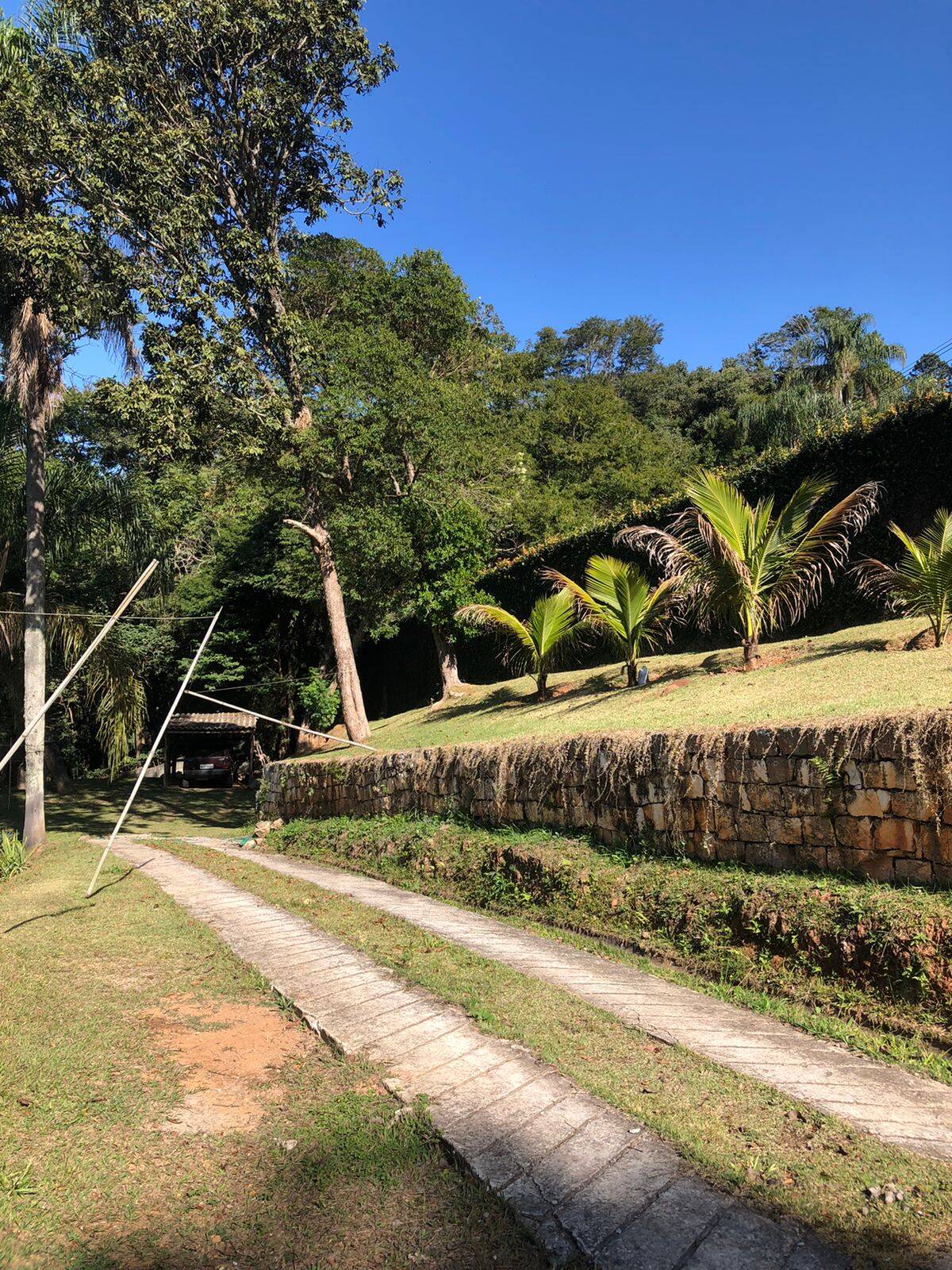 Fazenda à venda com 5 quartos, 14600m² - Foto 4