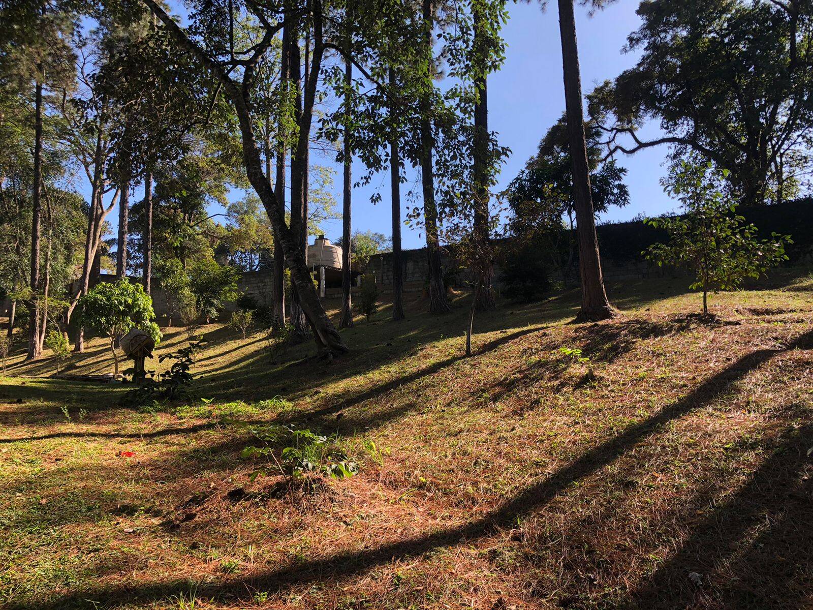 Fazenda à venda com 5 quartos, 14600m² - Foto 7