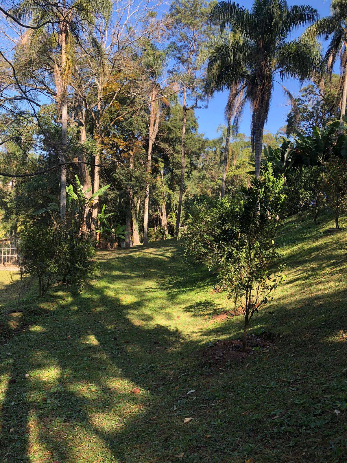 Fazenda à venda com 5 quartos, 14600m² - Foto 8