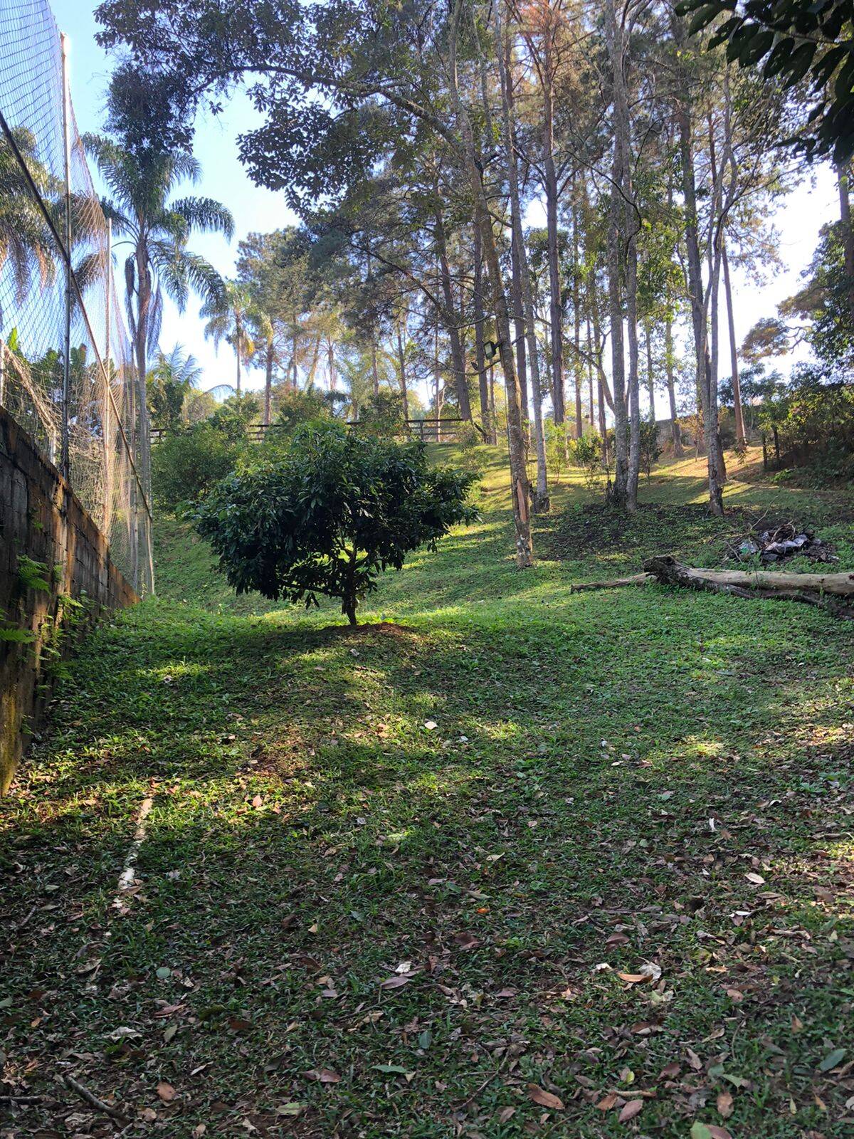 Fazenda à venda com 5 quartos, 14600m² - Foto 9