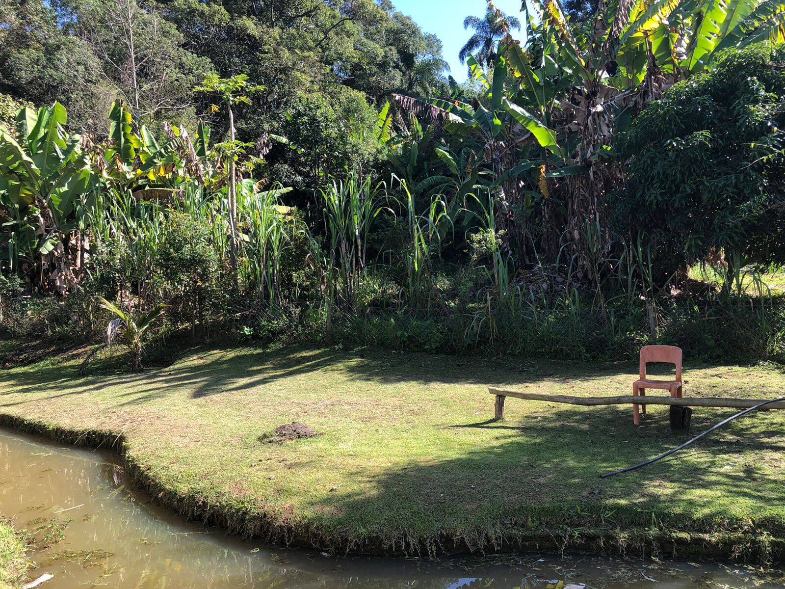 Fazenda à venda com 5 quartos, 14600m² - Foto 15