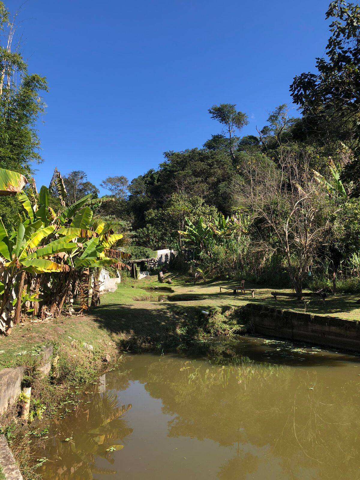 Fazenda à venda com 5 quartos, 14600m² - Foto 13