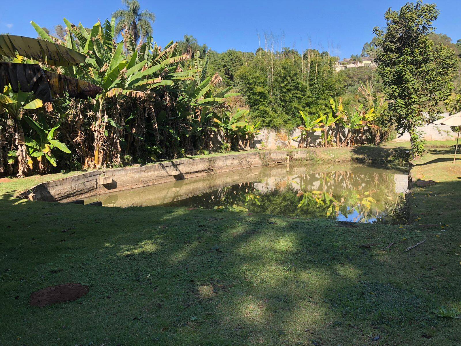 Fazenda à venda com 5 quartos, 14600m² - Foto 14