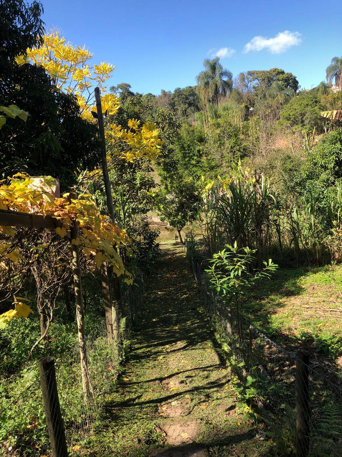 Fazenda à venda com 5 quartos, 14600m² - Foto 16