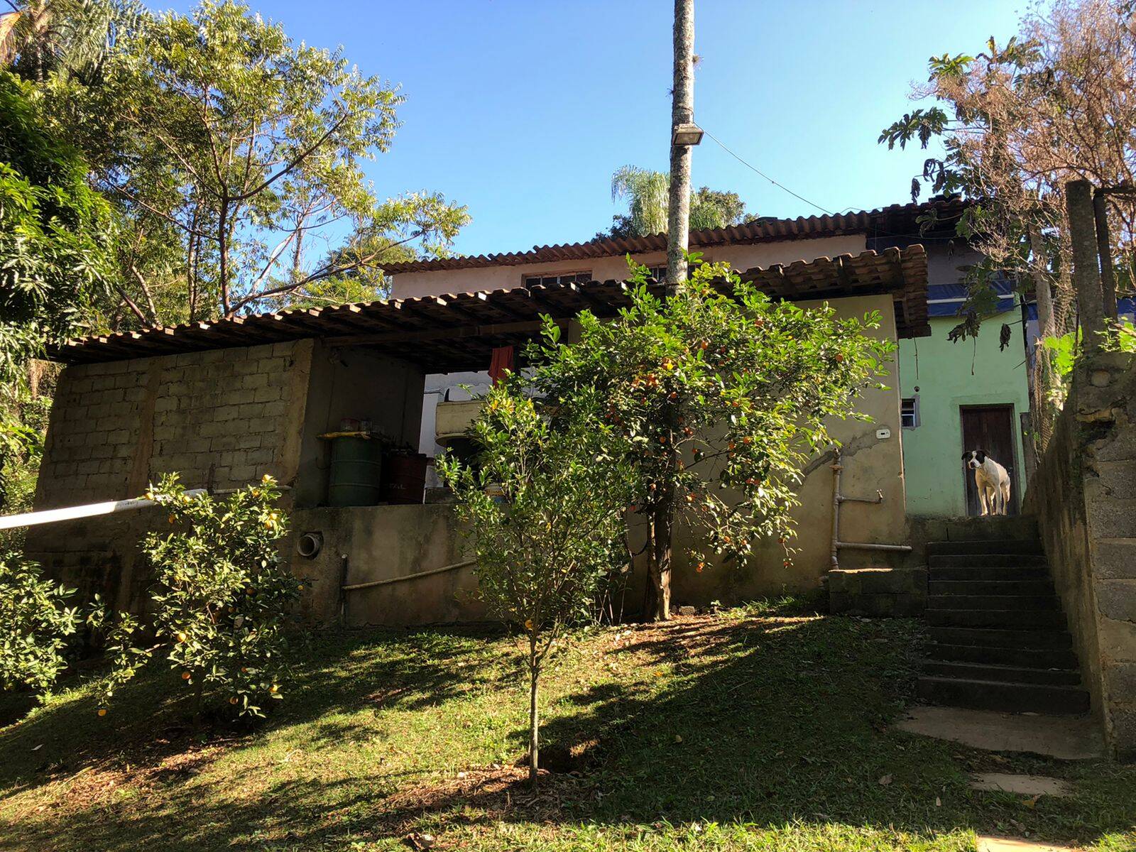 Fazenda à venda com 5 quartos, 14600m² - Foto 20