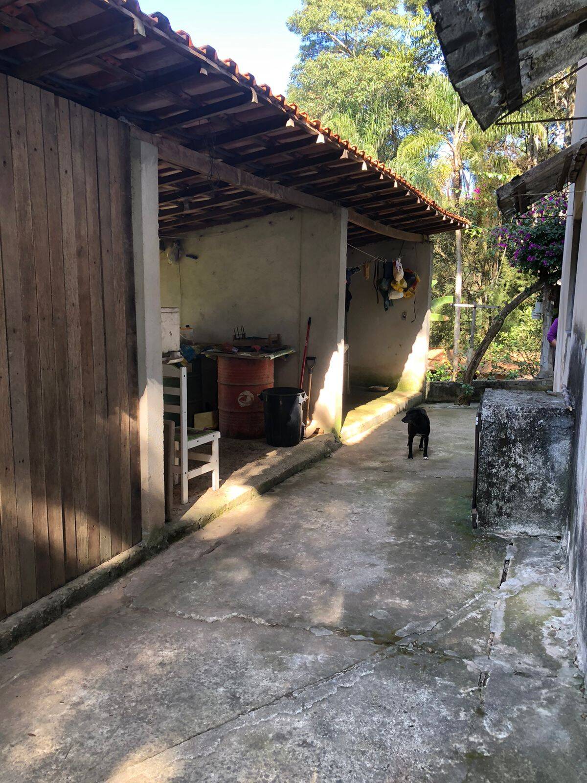 Fazenda à venda com 5 quartos, 14600m² - Foto 21