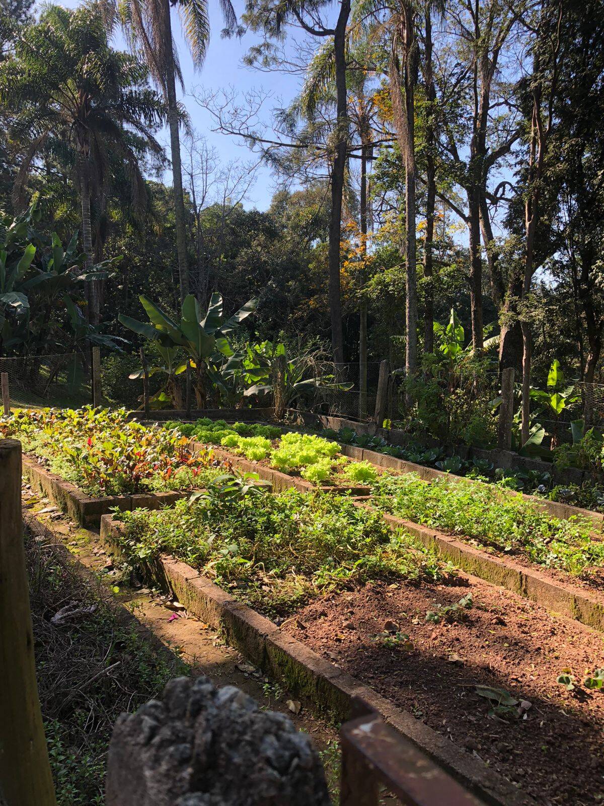 Fazenda à venda com 5 quartos, 14600m² - Foto 24