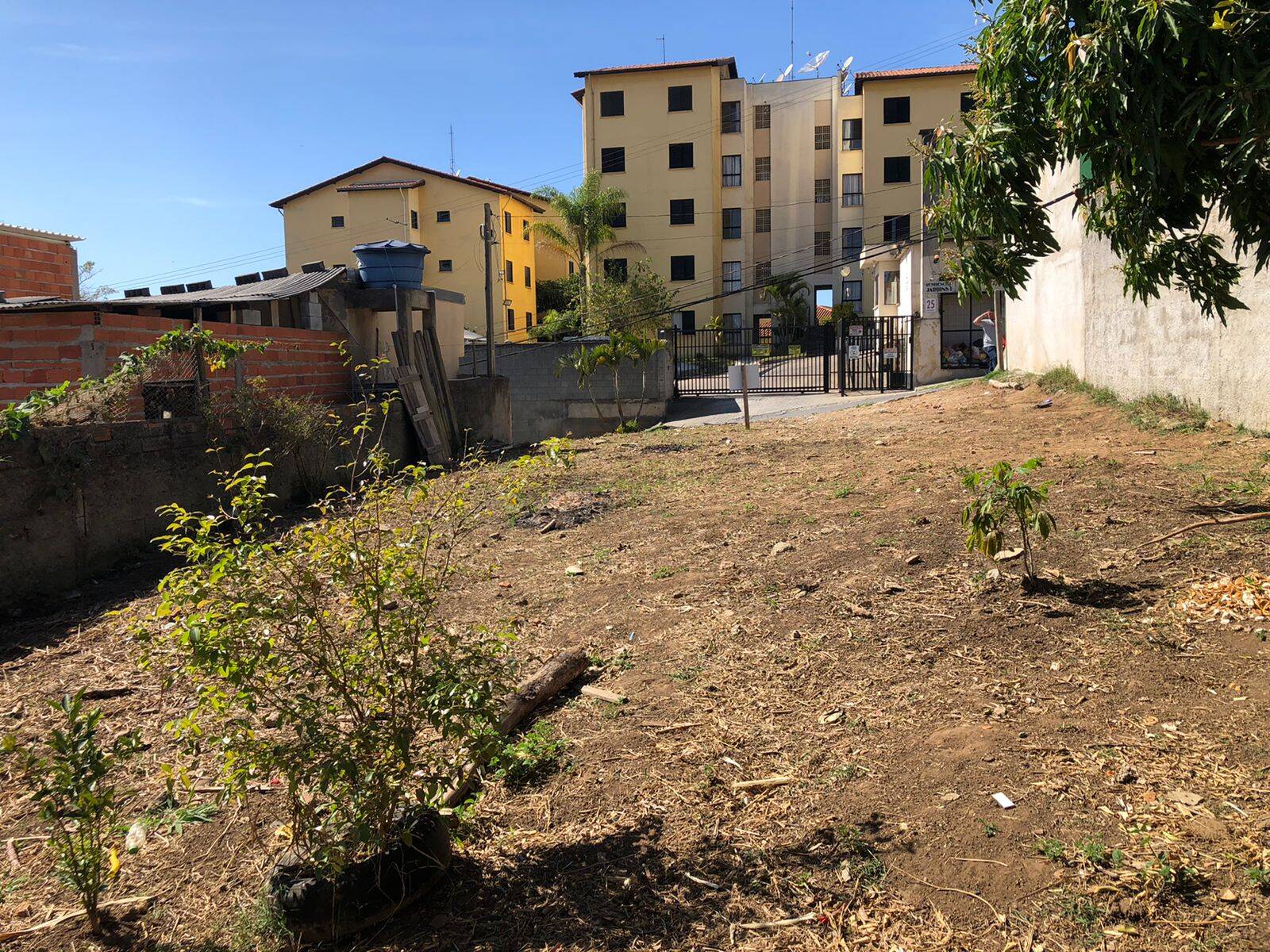 Terreno à venda, 250m² - Foto 2