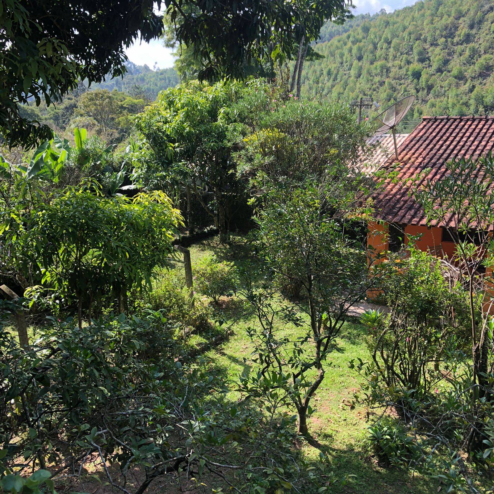 Fazenda à venda com 5 quartos, 600m² - Foto 10