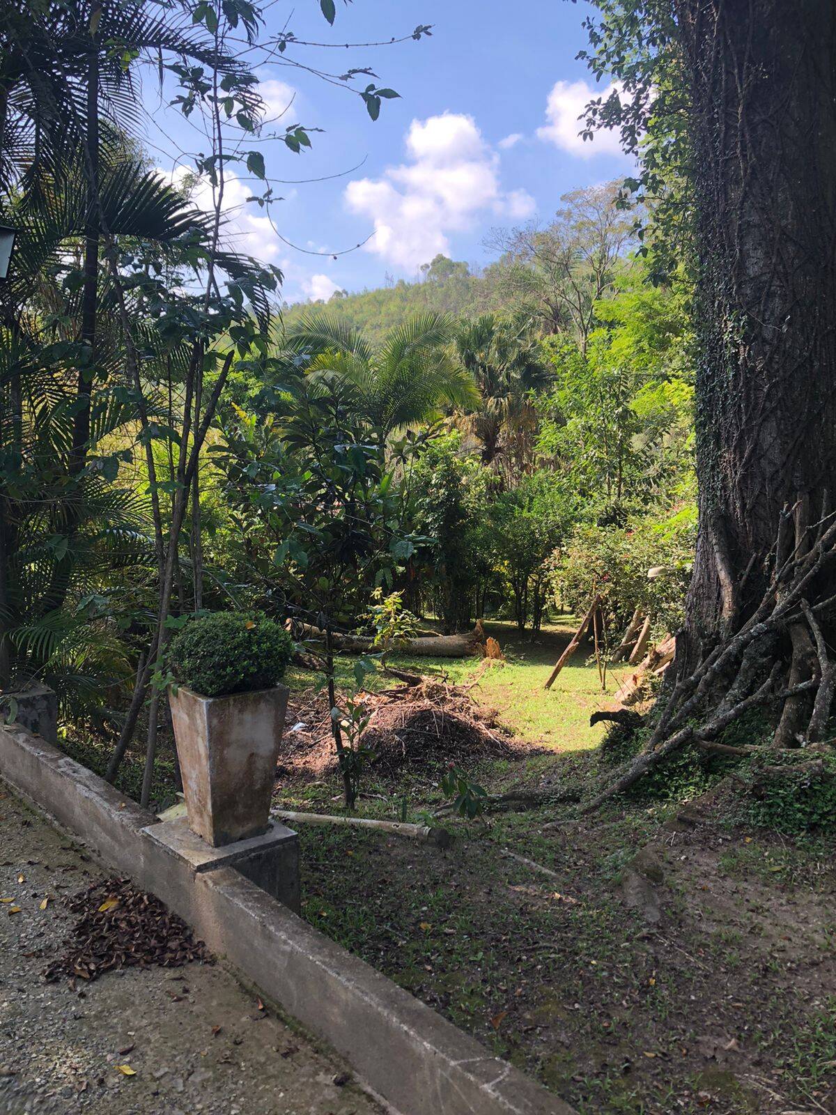 Fazenda à venda com 5 quartos, 600m² - Foto 15