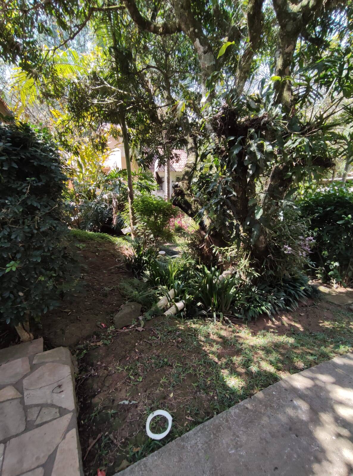 Fazenda à venda com 3 quartos, 1300m² - Foto 11