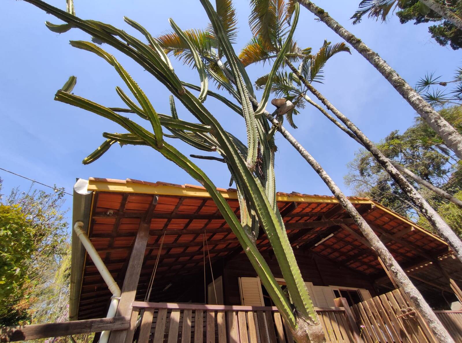 Fazenda à venda com 3 quartos, 1300m² - Foto 18