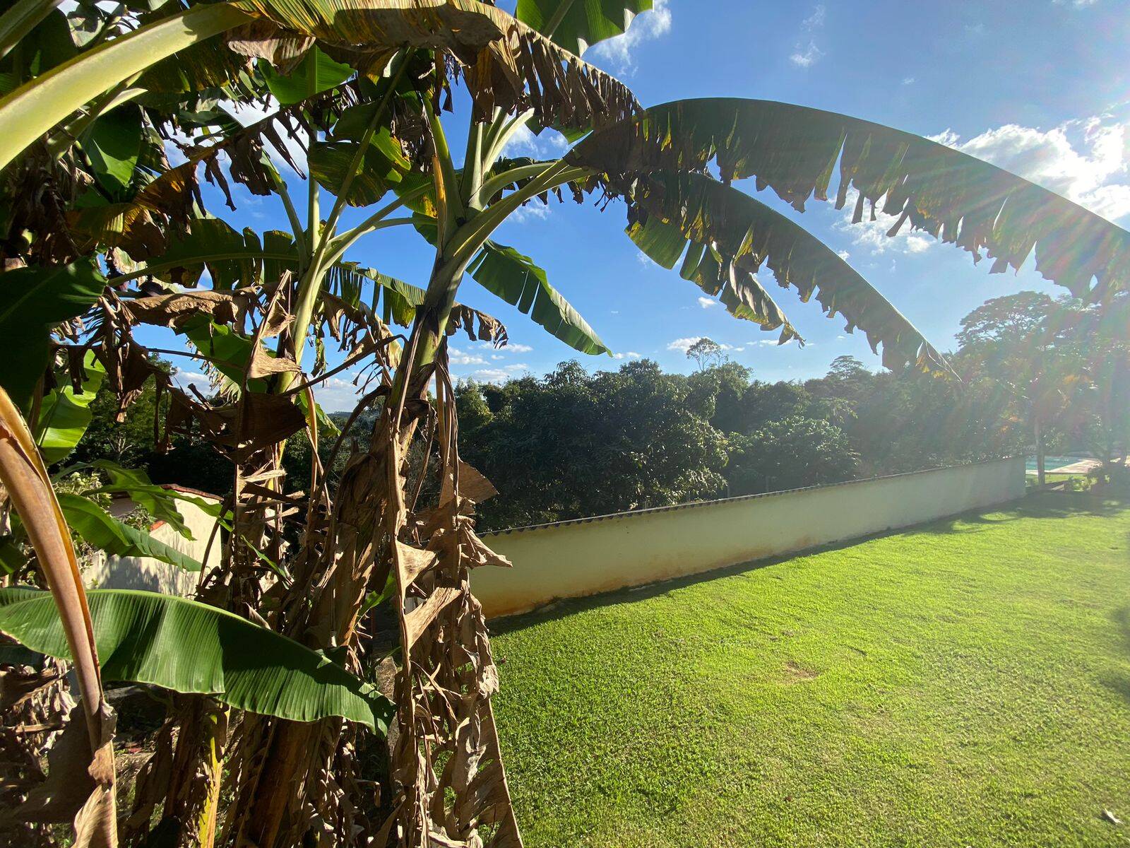 Fazenda à venda com 4 quartos, 500m² - Foto 40