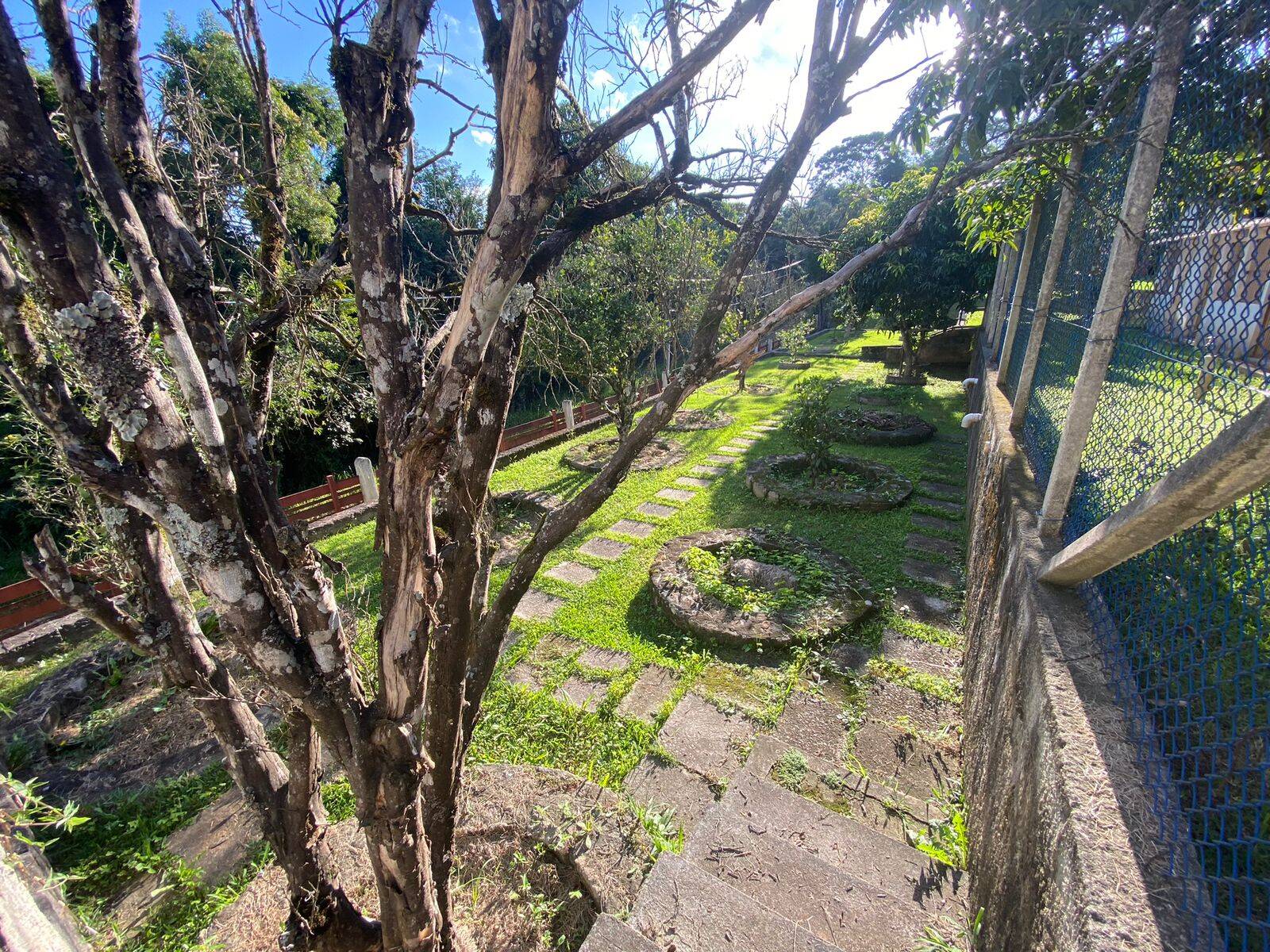 Fazenda à venda com 4 quartos, 500m² - Foto 42