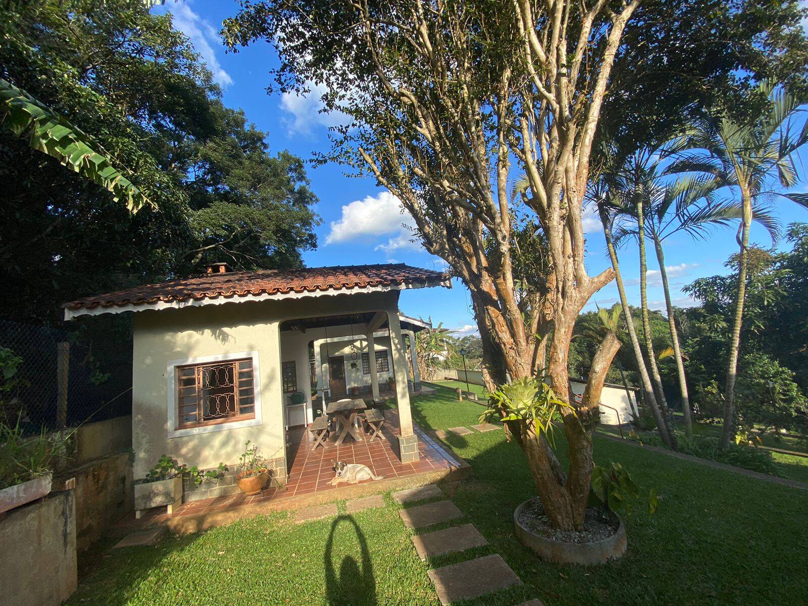 Fazenda à venda com 4 quartos, 500m² - Foto 43