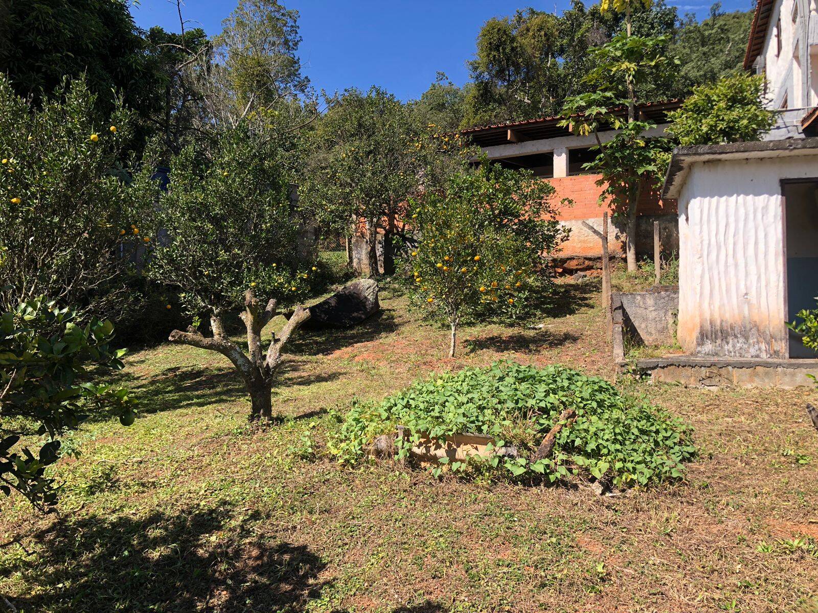 Fazenda à venda com 4 quartos, 400m² - Foto 18