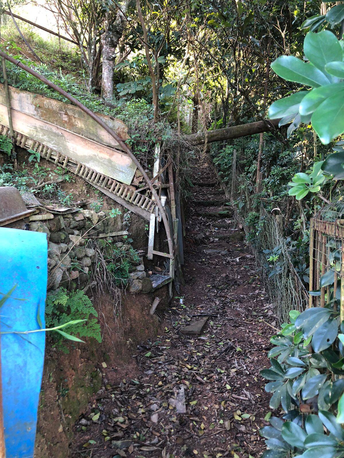 Fazenda à venda com 2 quartos - Foto 7