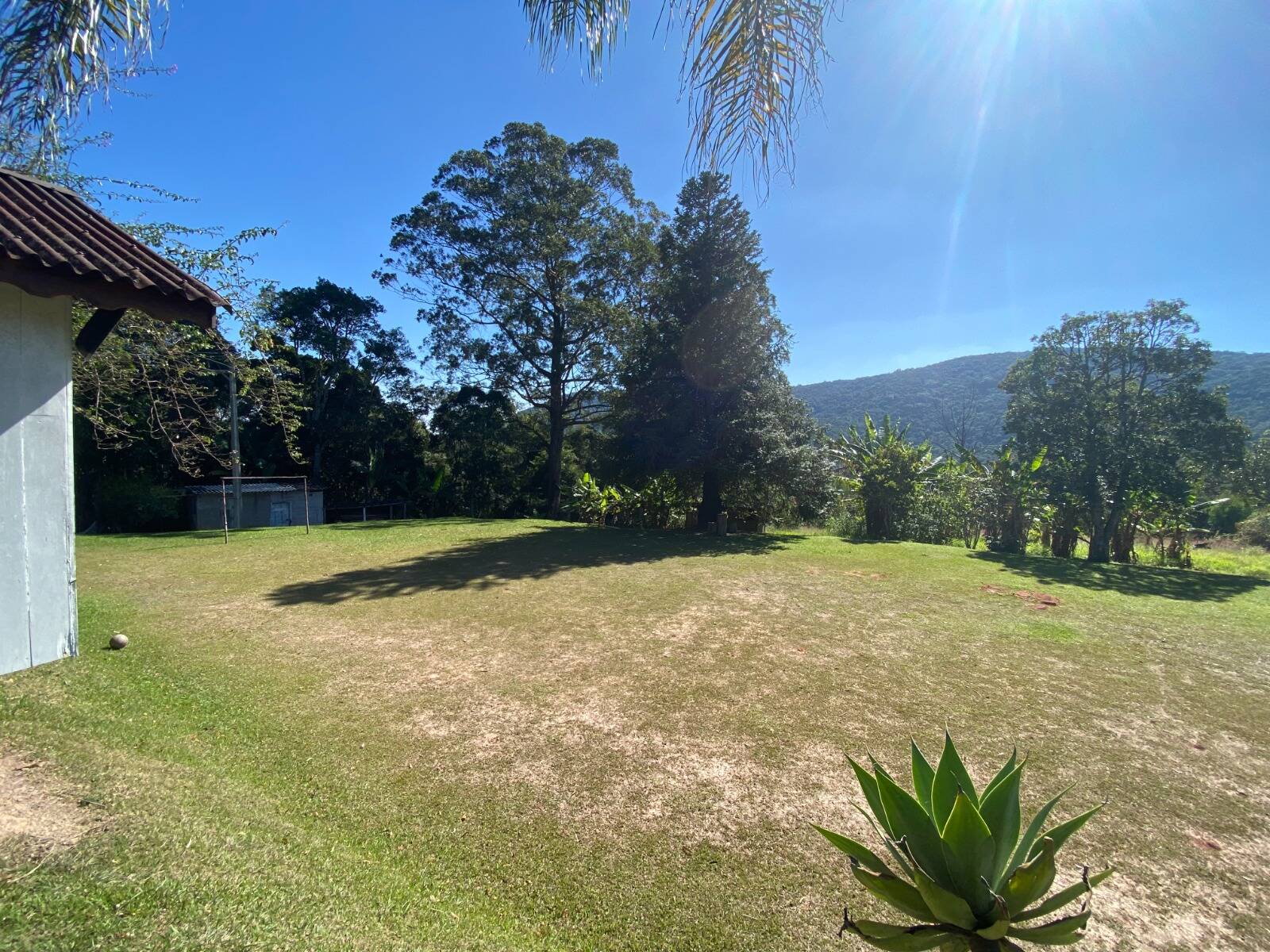 Fazenda à venda com 4 quartos, 48m² - Foto 10