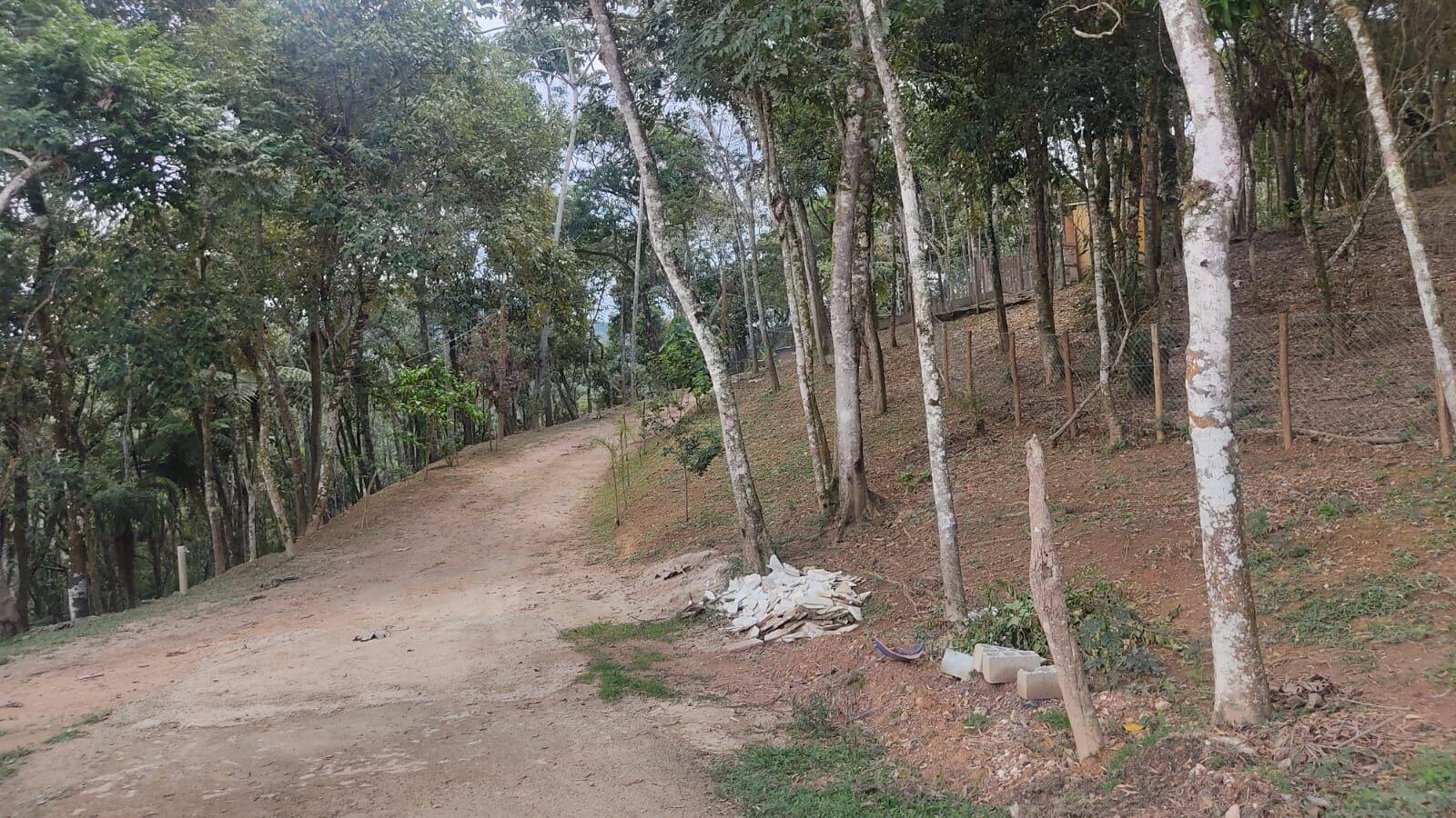 Terreno à venda com 2 quartos, 30000m² - Foto 28