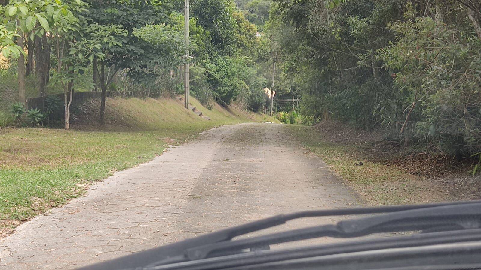 Terreno à venda com 2 quartos, 30000m² - Foto 34