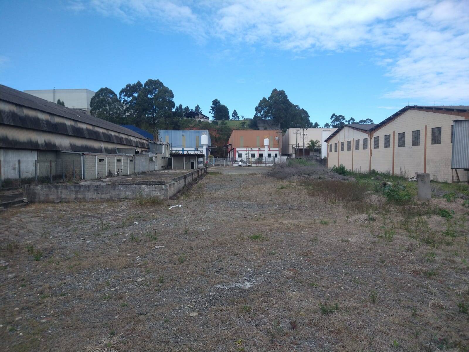 Terreno, 3000 m² - Foto 2