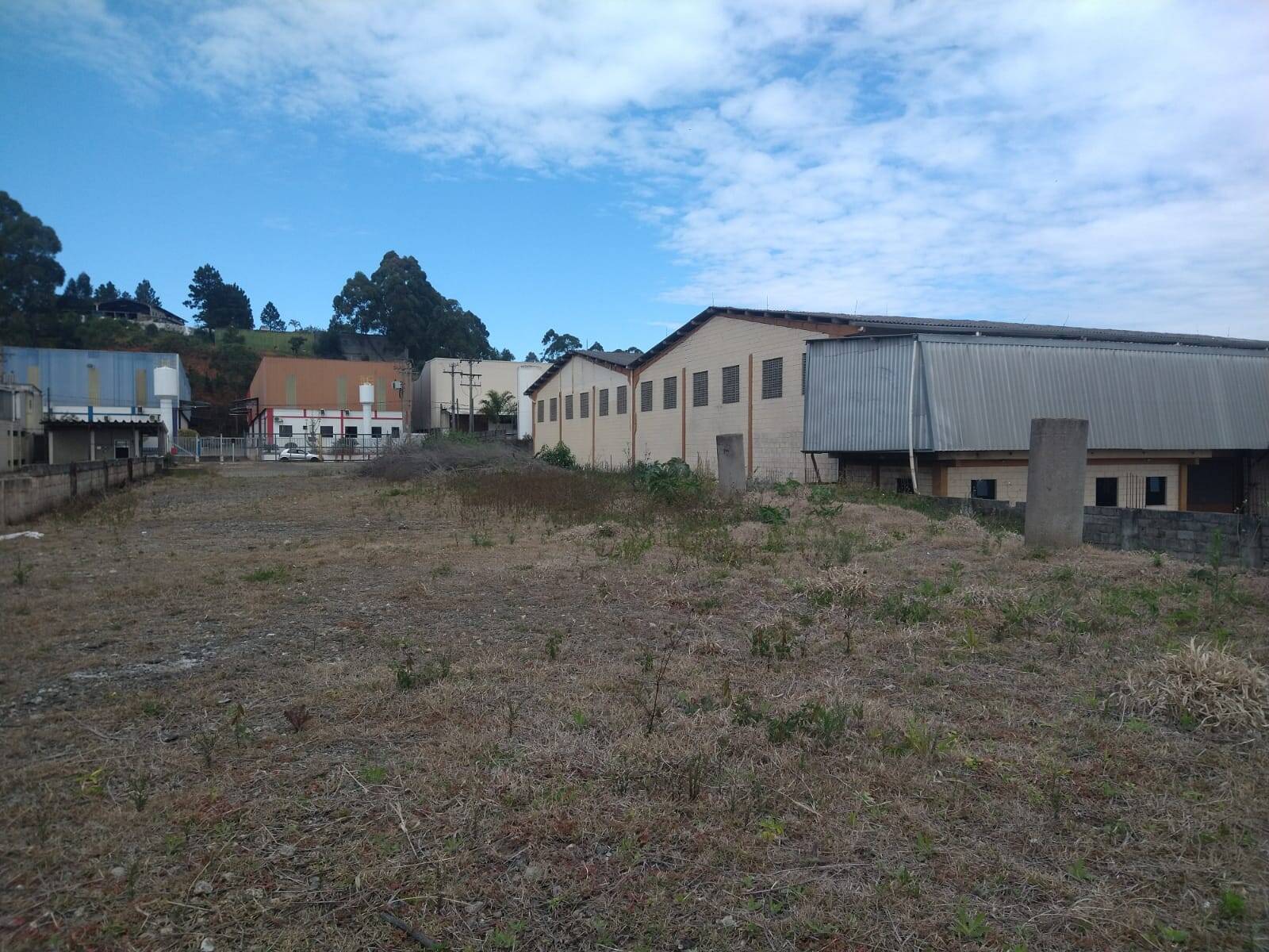 Terreno, 3000 m² - Foto 4