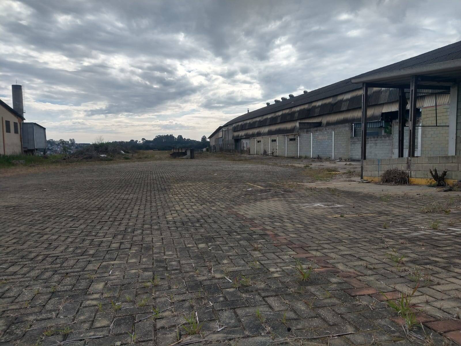 Terreno para alugar, 3000m² - Foto 6