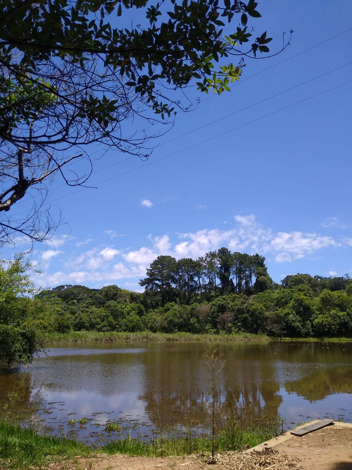 Terreno à venda e aluguel, 20000m² - Foto 2