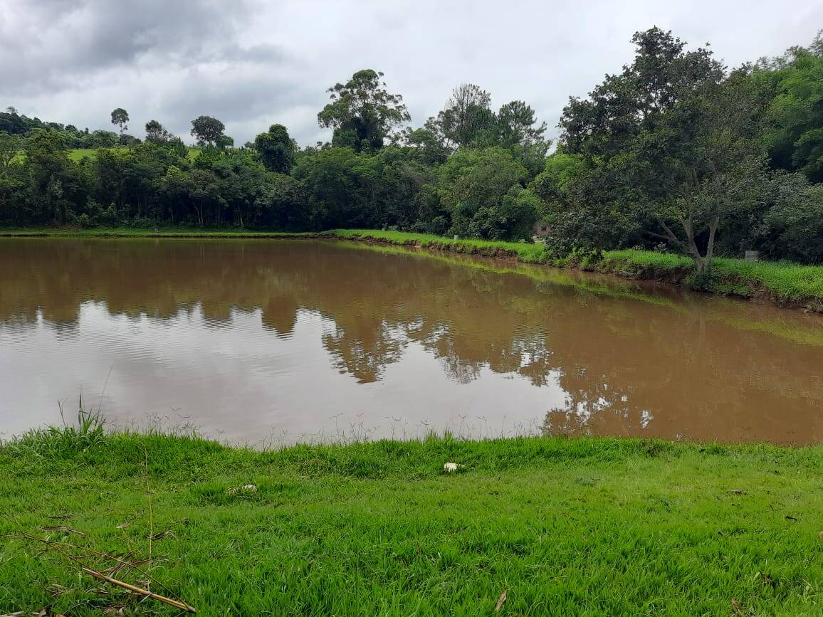 Terreno à venda e aluguel, 20000m² - Foto 4