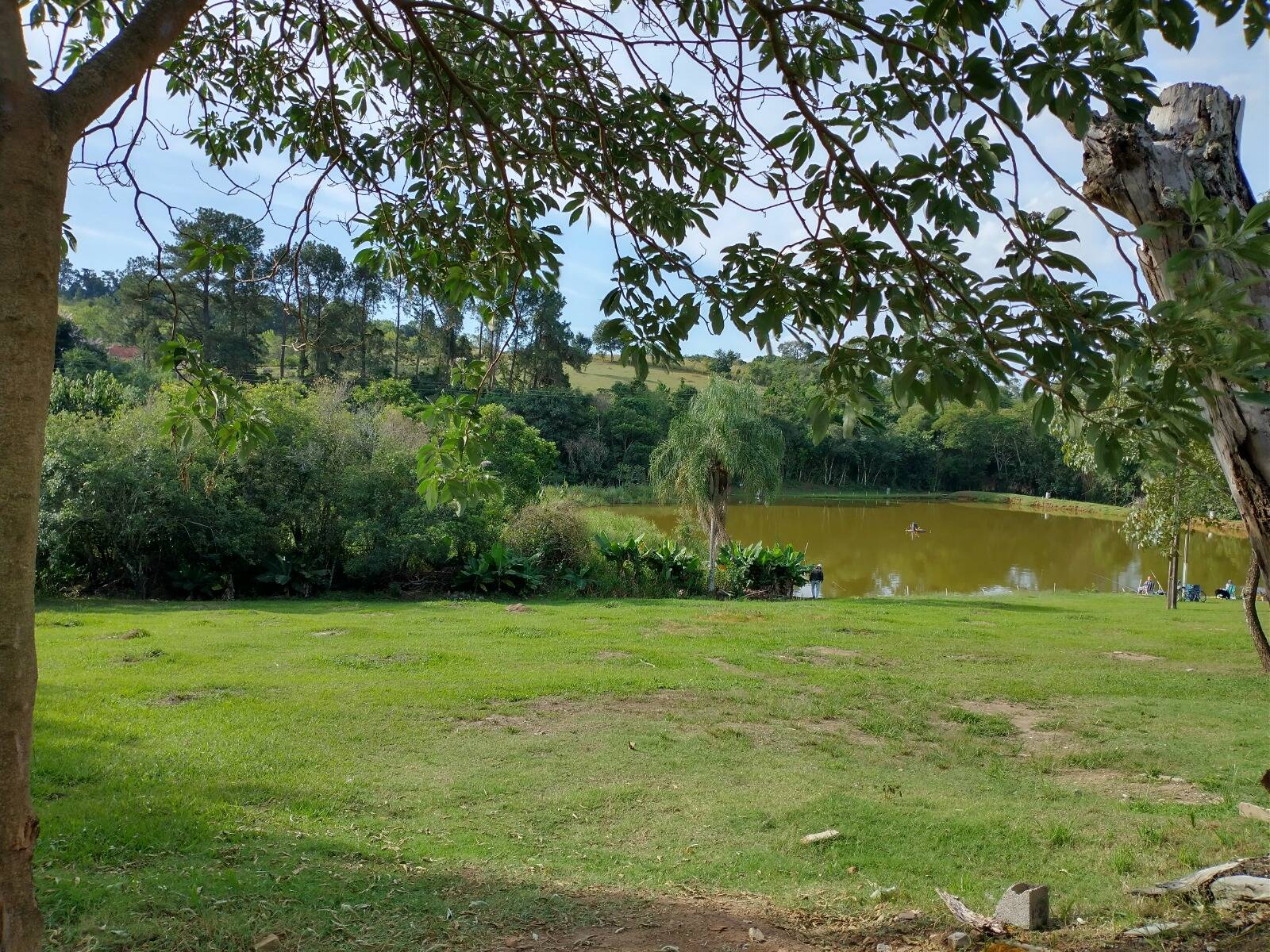 Terreno à venda e aluguel, 20000m² - Foto 11