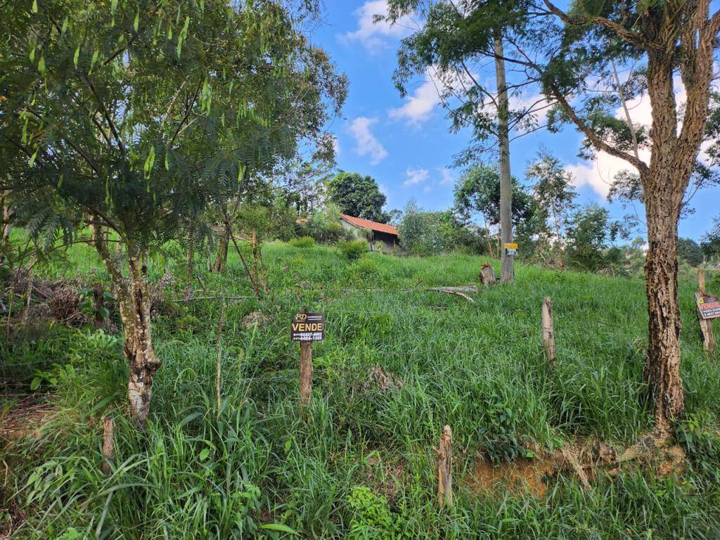 Terreno à venda, 300m² - Foto 3