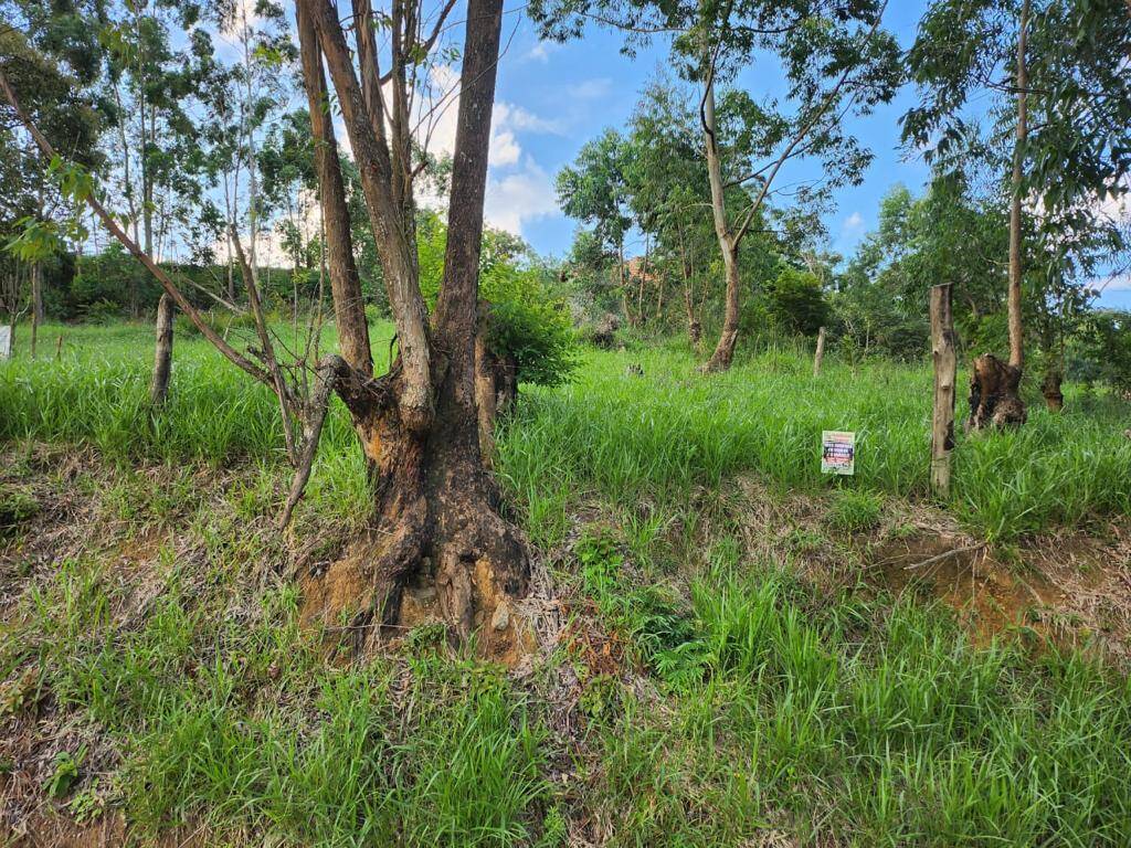 Terreno à venda, 300m² - Foto 2