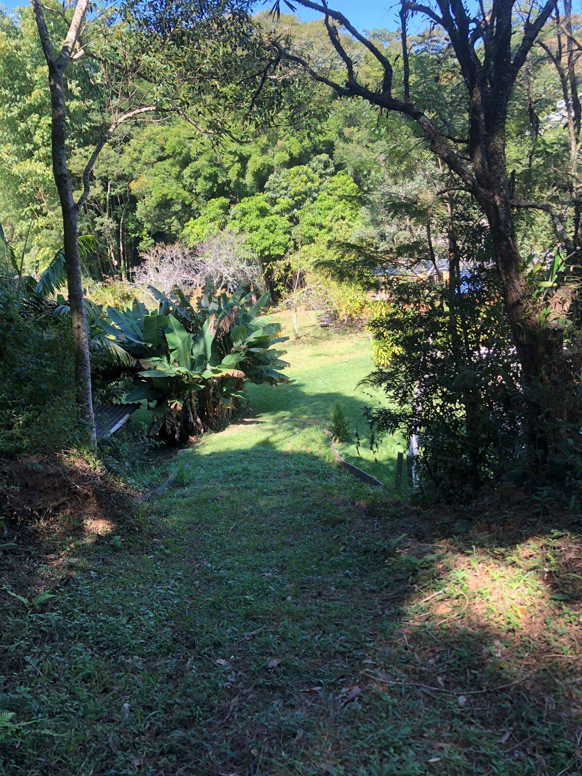 Fazenda à venda com 6 quartos, 403m² - Foto 29