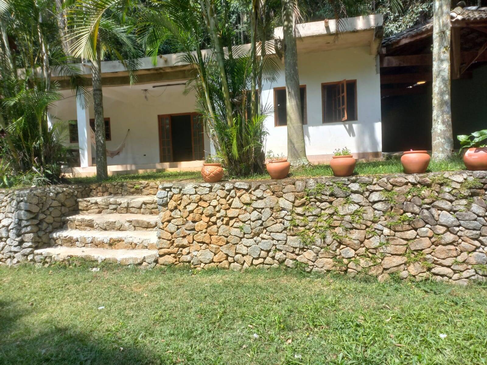 Fazenda à venda com 3 quartos, 6000m² - Foto 1