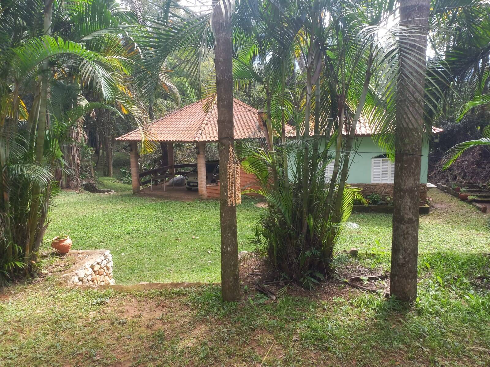 Fazenda à venda com 3 quartos, 6000m² - Foto 3