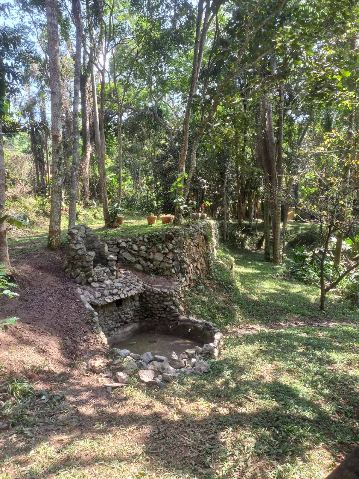 Fazenda à venda com 3 quartos, 6000m² - Foto 4