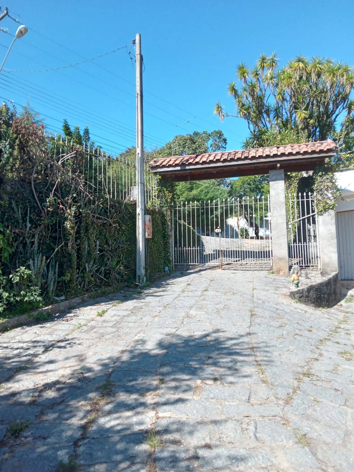 Fazenda à venda com 3 quartos, 1200m² - Foto 9