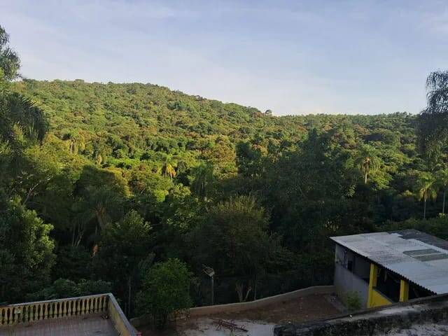 Fazenda à venda com 4 quartos, 3600m² - Foto 7