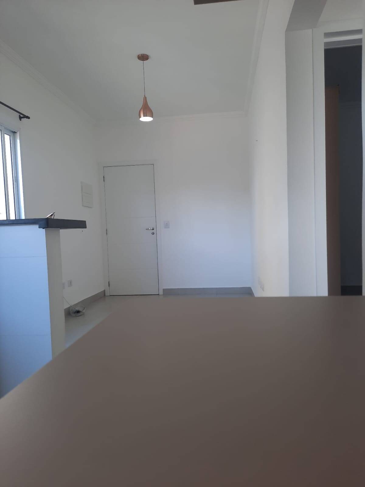 Apartamento à venda com 2 quartos, 54m² - Foto 18