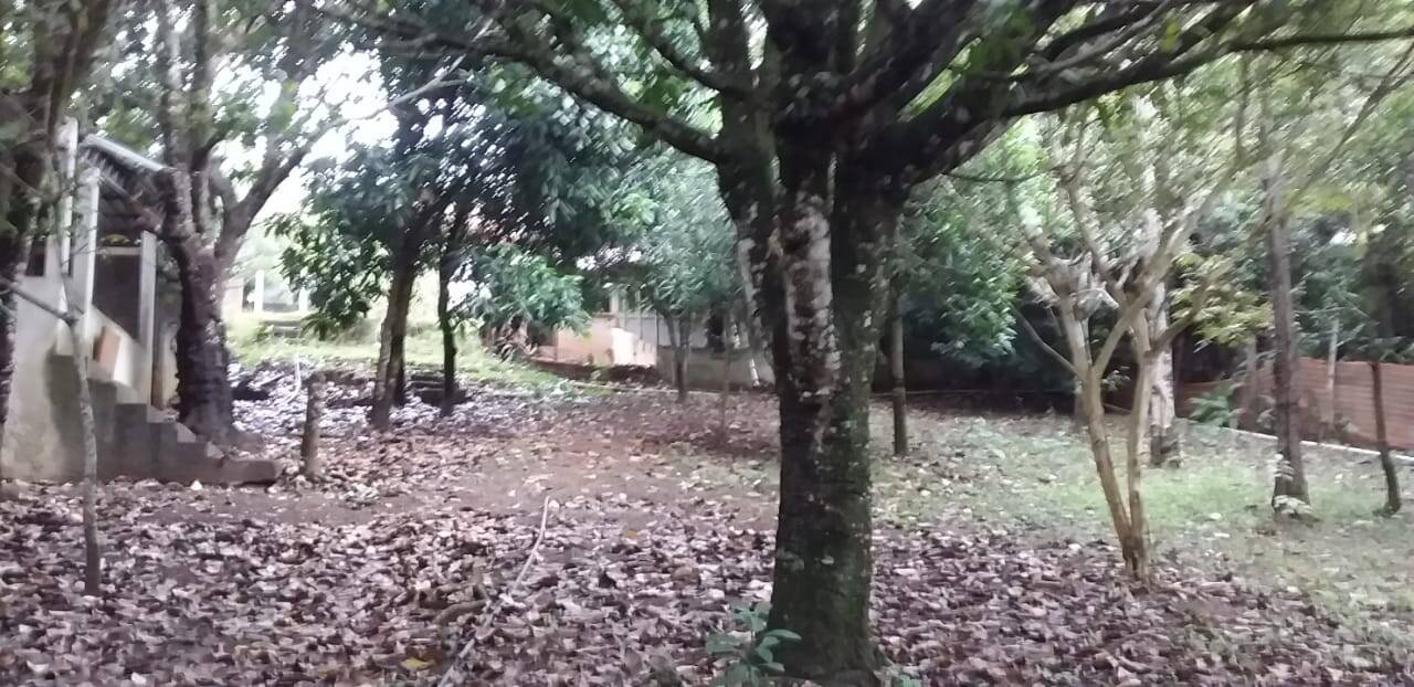 Fazenda à venda com 5 quartos, 3300m² - Foto 28