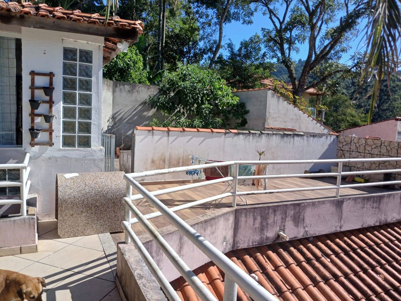 Fazenda à venda com 4 quartos, 1000m² - Foto 7