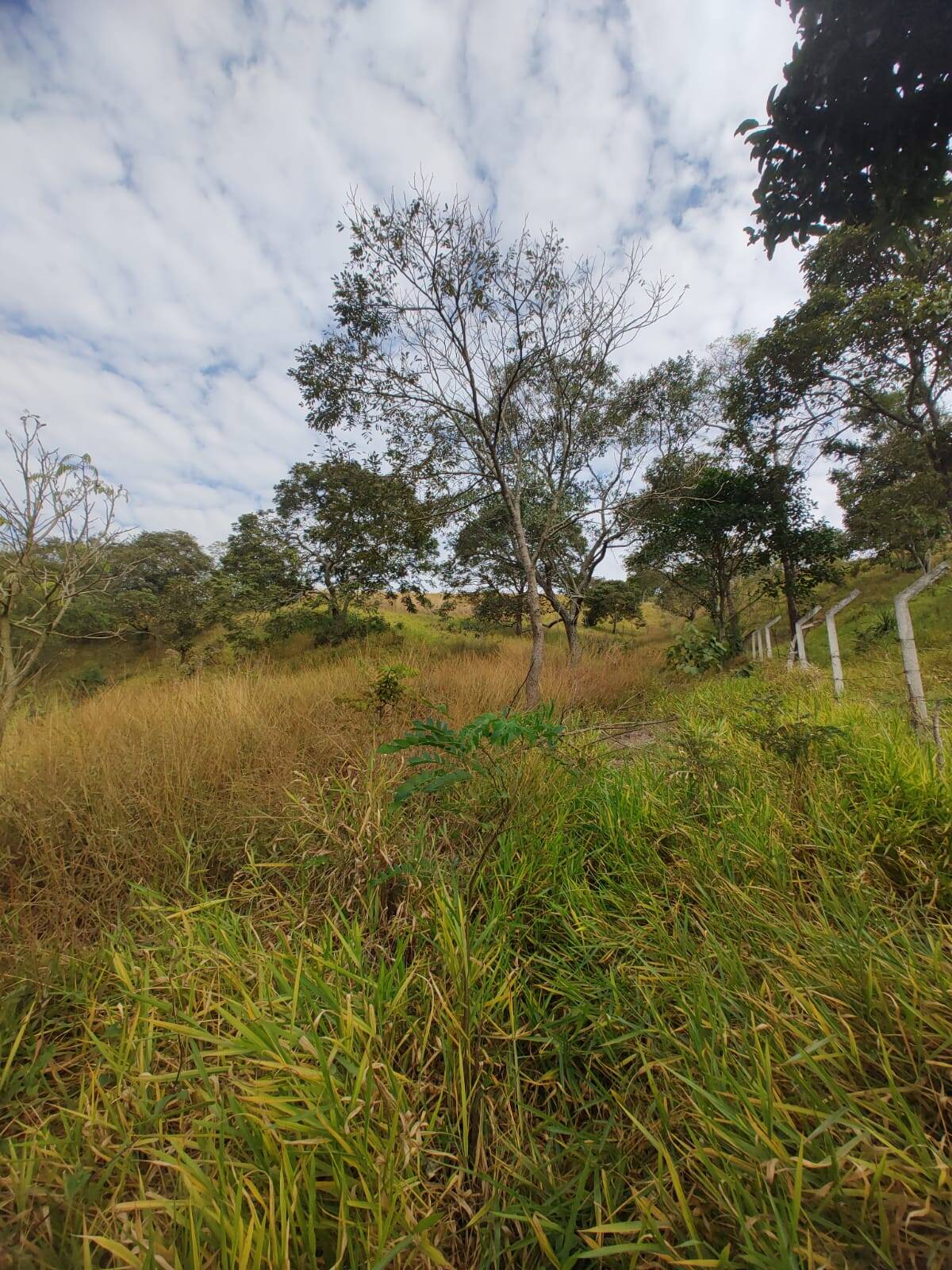 Terreno à venda, 770m² - Foto 3