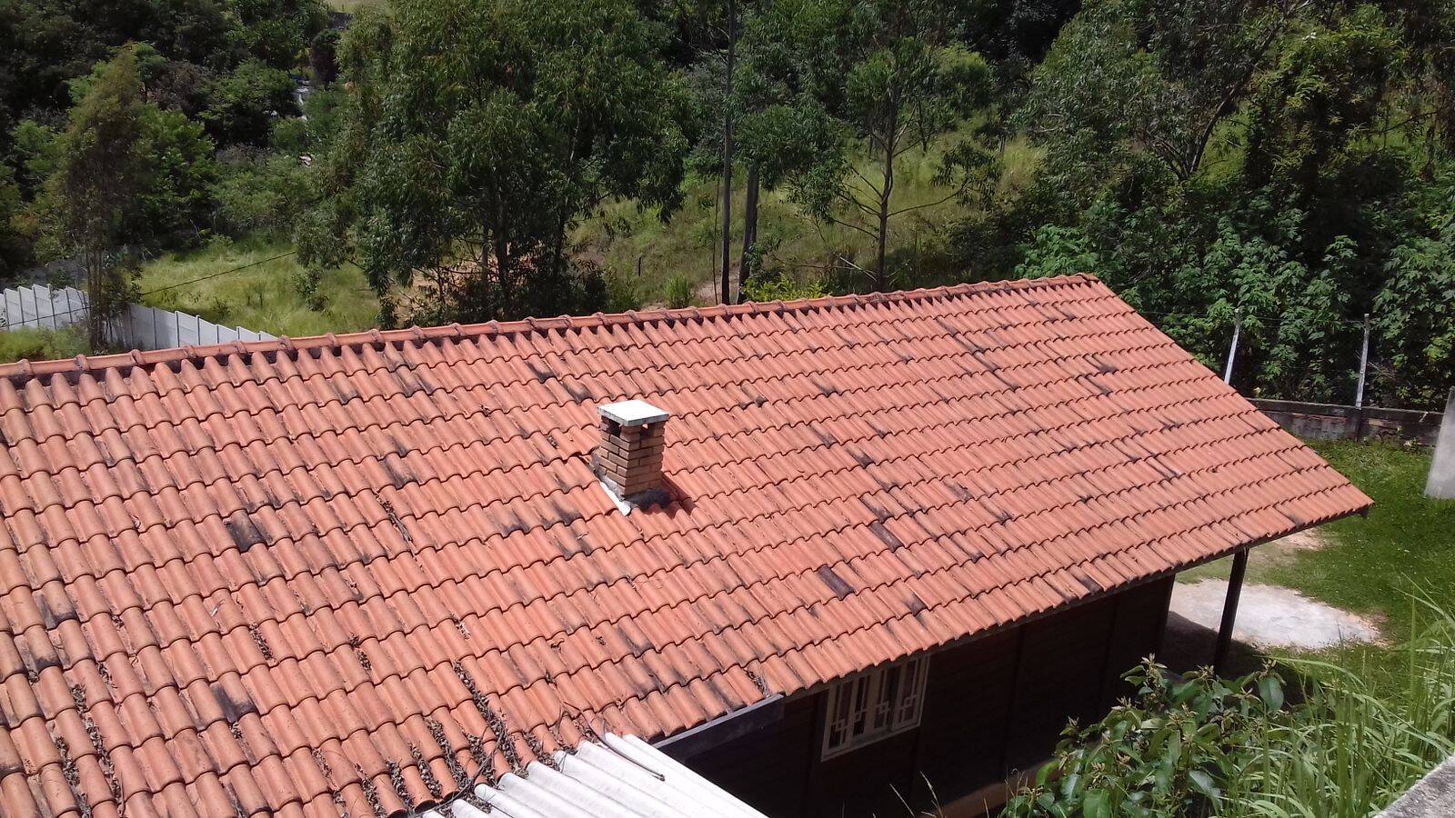 Fazenda à venda com 2 quartos, 1200m² - Foto 10