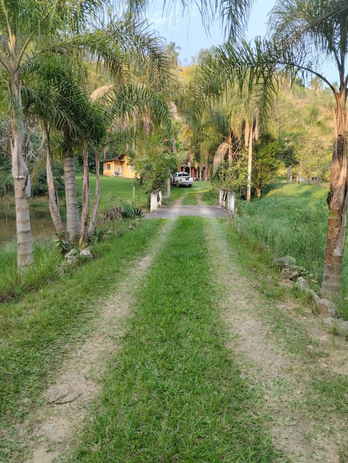 Fazenda à venda com 5 quartos, 2m² - Foto 3