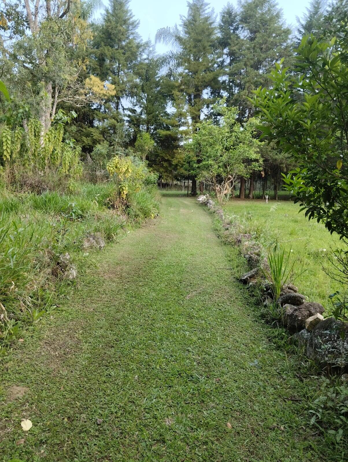 Fazenda à venda com 5 quartos, 2m² - Foto 9