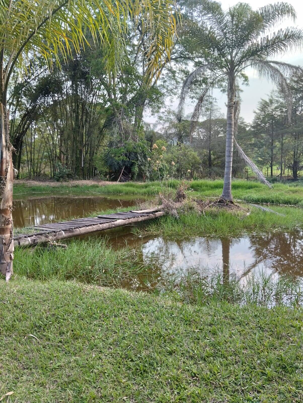 Fazenda à venda com 5 quartos, 2m² - Foto 13