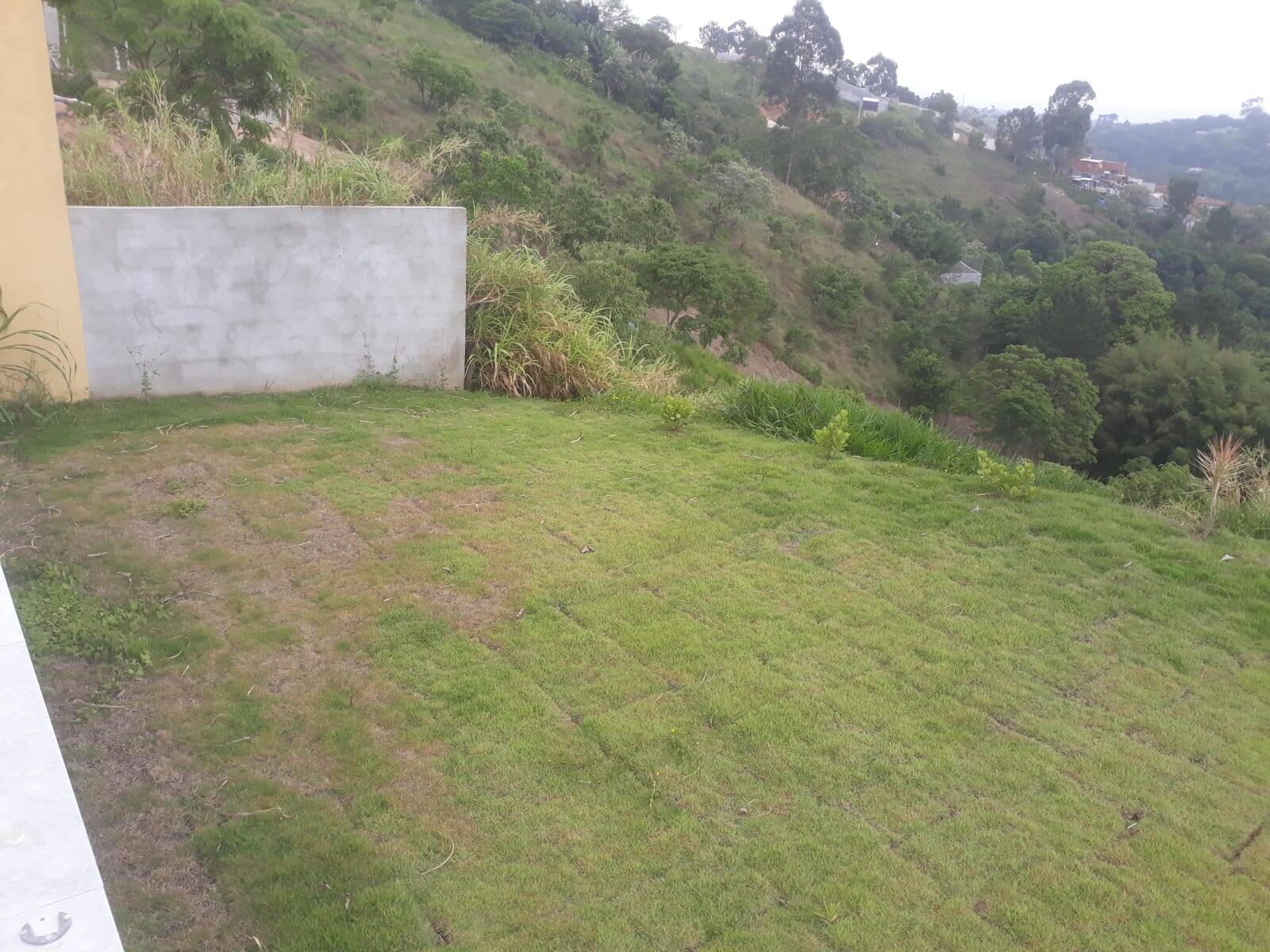 Fazenda à venda com 3 quartos, 2560m² - Foto 8