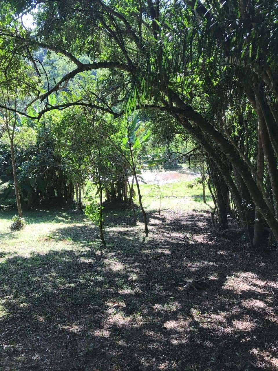 Fazenda à venda com 8 quartos, 63000m² - Foto 26