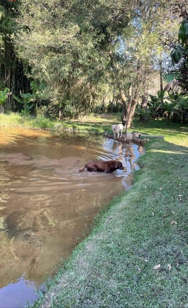 Fazenda à venda com 8 quartos, 63000m² - Foto 27